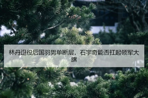 lin-dan-tui-yi-hou-guo-yu-nan-dan-duan-ceng-shi-yu-qi-neng-fou-kang-qi-ling-jun-da-qi-2-184.jpg