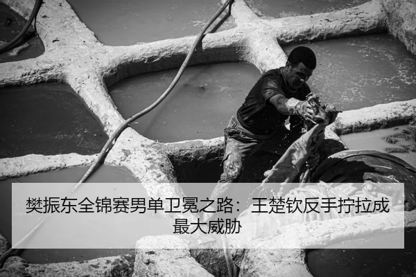 樊振东全锦赛男单卫冕之路：王楚钦反手拧拉成最大威胁